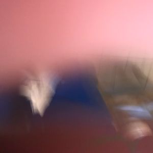 Meet your Posher, Sammy